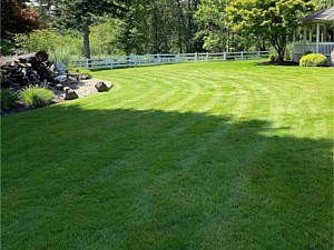 Lawn Care, Beaverton, OR