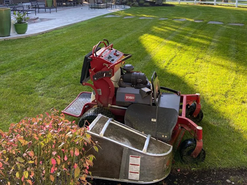 The Essential Lawn Maintenance Calendar for Pacific Northwest Homeowners